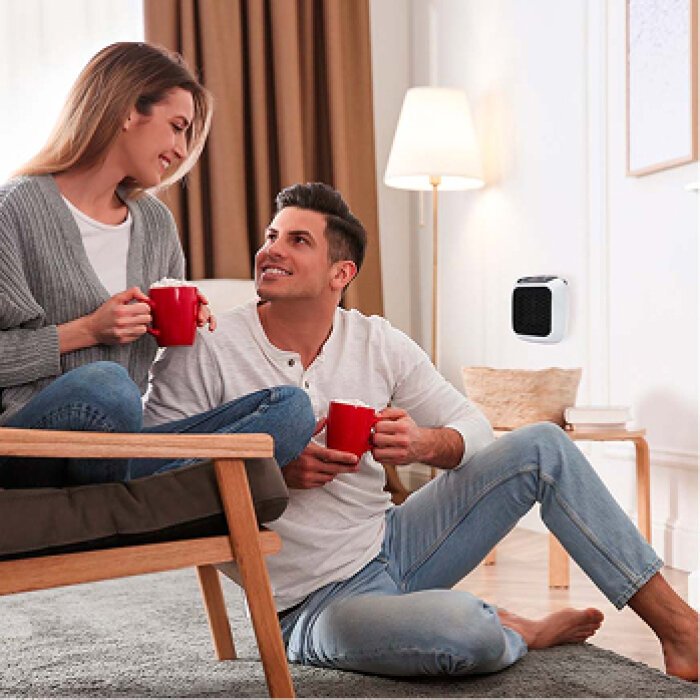 WellHeater portable heater
